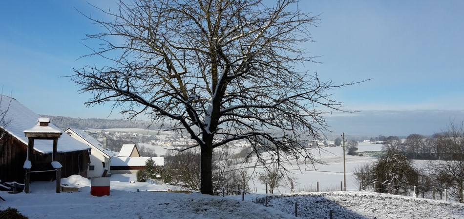 Winterpanorama